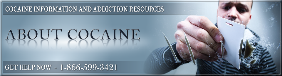 About Cocaine | Cocaine Addiction Information and Treatment Resources